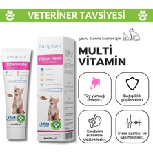 Kitten Paste 100G Yavru &anne Kedi Multivitamin Malt Macun