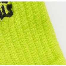 Raining Animals 2'li Açık Renk Paket Pamuklu Unisex Tenis Çorap Logo Nakışlı Krem - Lime Yeşili