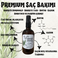 Biberiye Plus - Biberiye - Biotin - Kafein - Premium Saç Bakımı - Dökülme Karşıtı - 100 ml