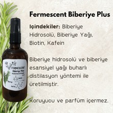 Biberiye Plus - Biberiye - Biotin - Kafein - Premium Saç Bakımı - Dökülme Karşıtı - 100 ml