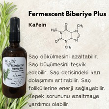 Biberiye Plus - Biberiye - Biotin - Kafein - Premium Saç Bakımı - Dökülme Karşıtı - 100 ml