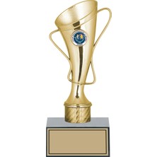 Odak Futbol Kupası Ödül Kupası Tören Kupası 24  cm  GN137