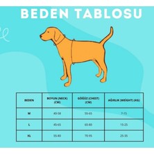 Yollabro Köpek Tasması