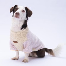 Daisy Papatya Desenli Yumuşak Kedi- Köpek Sweatshirt  Kedi Köpek Kıyafeti Köpek Giysisi