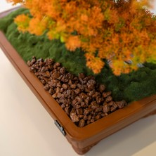 Atlas Bonsai-6-2 Masaüstü Kullanıma Uygun Doğal Ağaç Gövdeli Yapay Bonsai Ağacı - 50X60 cm