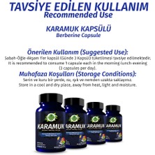 Gökçek Şifa Karamuk Kapsül (BERBERİN CAPSULE)