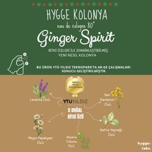 Yeni Nesil Bitki Özlü Kolonya - Ginger Spi-Rit - Yılbaşı Özel Koku- Limited Edition - 100 ml