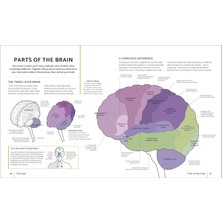 The Brain Fitness Book - Rita Carter