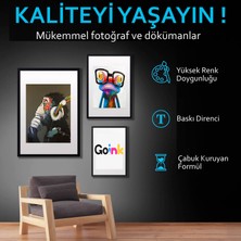 Goink Canon Gı-41 Kırmızı Mürekkep Muadil 500 ml + 70 ml