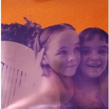 Smashing Pumpkins / Siamese Dream (2lp) (Plak)