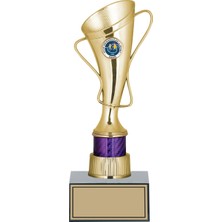 Odak Futbol Kupası Ödül Kupası Tören Kupası 27  cm  GN139