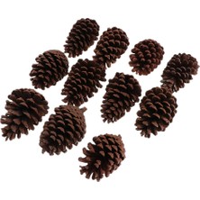 10 Adet Büyük Dekoratif Koniler 8-10CM Vazo Kase Dolgu Dekoratif Zanaat (Yurt Dışından)