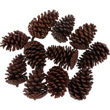 10 Adet Büyük Dekoratif Koniler 8-10CM Vazo Kase Dolgu Dekoratif Zanaat (Yurt Dışından)