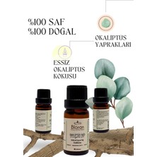 Bioran Okaliptüs Yağı Saf Bitkisel Uçucu Yağ 10 ml. (Eucalyptus Oil)