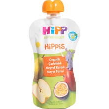 Nessiworld Hipp Organik Çarkıfelek Meyveli Karışık Meyve Püresi 100 gr