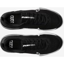 Nike M Air Max Alpha Trainer 6 Erkek Antrenman Ayakkabısı