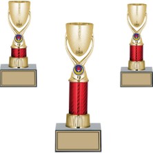 Odak Kişiye Özel Kupa Takımı-Ödül Kupası-Turnuva Kupası 3'lü Takım GN152