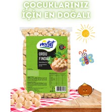 Mytat Kavrulmuş Fındık İçi 500 gr (Vakumlu)