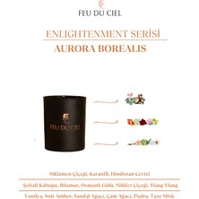 Feu du Ciel Signature Aurora Borealis Pudra Amber Kokulu Mum 150 gr