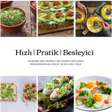 Mikro Filiz Yetiştirme Kiti - 2'li Wasabi & Pak Choi