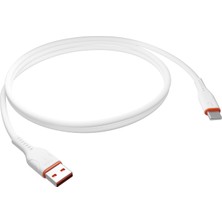 S-link SL-X246E 1 Metre 12W 2.4A Type-C Güvenli Hızlı Data + Sarj Kablosu