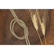 Gül Kordon 5 mm - 30 mt Vizon