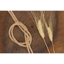 Gül Kordon 5 mm - 30 mt Capucıno