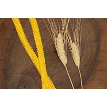 Gül Su Taşı Smokin - 50 mt Sarı