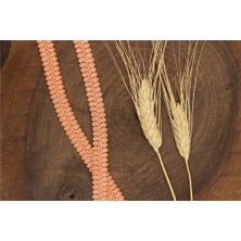 Gül Su Taşı Smokin - 50 mt Somon