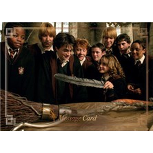 Panini Harry Potter Hogwarts'ta 1 Yıl Sticker Seti 10LU Paket (10'lu Paket= 40 Stciker+ 10 Kart)