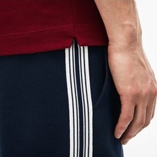 Lacoste Erkek Regular Fit Paris Polo