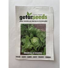 megcito Marul Iceberg ( Çoklu Tohum ) - 3 Gram