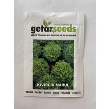 megcito Kıvırcık Marul ( Çoklu Tohum ) - 5 Gram