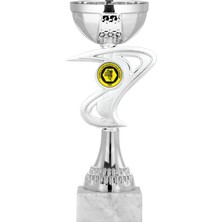 Odak Kişiye Özel Futbol Kupası Ödül Kupası Tören Kupası 22 cm ECO-019