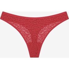 Lace Dantel 3lü Çok Renkli Tanga Külot