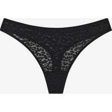 Lace Dantel 3lü Çok Renkli Tanga Külot
