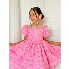 Pembe Güllü Diana Vintage Kız Bebek Elbise,doğum Günü Elbise,fotoğraf Çekim Elbise,0-12 Yaş Uygun