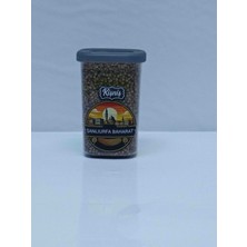 Şanlıurfa Baharat KişnişTane 100 gr