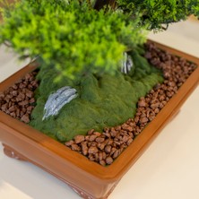 Atlas Bonsai-1 Masaüstü Kullanıma Uygun Doğal Ağaç Gövdeli Yapay Bonsai Ağacı - 50X60 cm