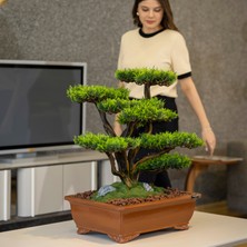 Atlas Bonsai-1 Masaüstü Kullanıma Uygun Doğal Ağaç Gövdeli Yapay Bonsai Ağacı - 50X60 cm