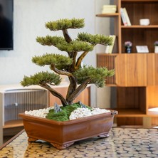 Atlas Bonsai-4 Masaüstü Kullanıma Uygun Doğal Ağaç Gövdeli Yapay Bonsai Ağacı - 50X60 cm
