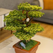 Flora Bonsai-5 Masaüstü Kullanıma Uygun Doğal Ağaç Gövdeli Yapay Bonsai Ağacı - 40X50 cm