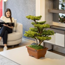 Flora Bonsai-5 Masaüstü Kullanıma Uygun Doğal Ağaç Gövdeli Yapay Bonsai Ağacı - 40X50 cm