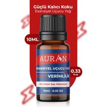 Multi Verimlilik Esansiyel Uçucu Koku Yağı Ortam Kokusu Doğal Yağ Sihirli Küre Hobi Esansı 10ml