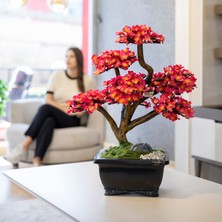Flora Bonsai-2-1 Masaüstü Kullanıma Uygun Doğal Ağaç Gövdeli Yapay Bonsai Ağacı - 40X50 cm