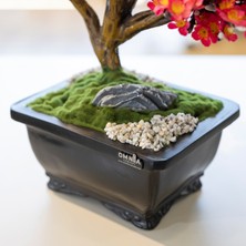 Flora Bonsai-2-1 Masaüstü Kullanıma Uygun Doğal Ağaç Gövdeli Yapay Bonsai Ağacı - 40X50 cm