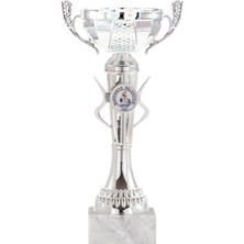 Odak Kişiye Özel Futbol Kupası Ödül Kupası Tören Kupası 24 cm ECO-034