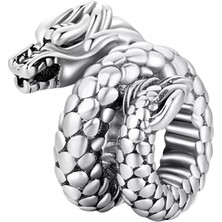 Fubena Görkemli Ejdarha Charm