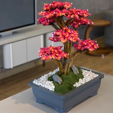Atlas Bonsai-2-1 Masaüstü Kullanıma Uygun Doğal Ağaç Gövdeli Yapay Bonsai Ağacı - 50X60 cm