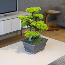 Flora Bonsai-6 Masaüstü Kullanıma Uygun Doğal Ağaç Gövdeli Yapay Bonsai Ağacı - 40X50 cm